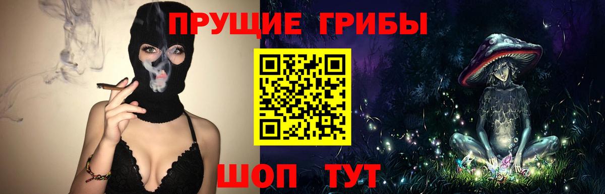 Галлюциногенные грибы MAGIC MUSHROOMS  Вход с VPN  Бийск 